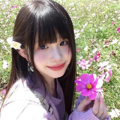 山菊花